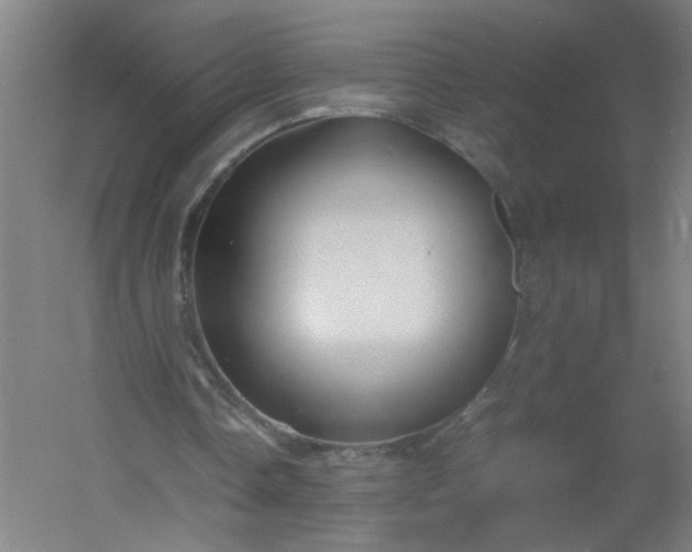 X0000054410338200508121731