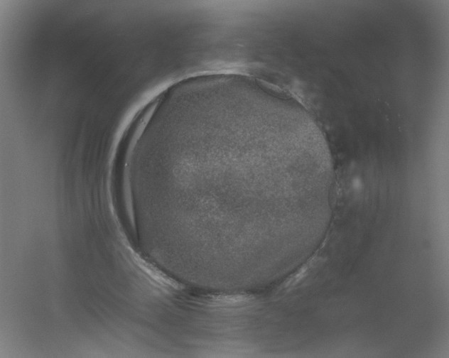 X0000054410342200508121731