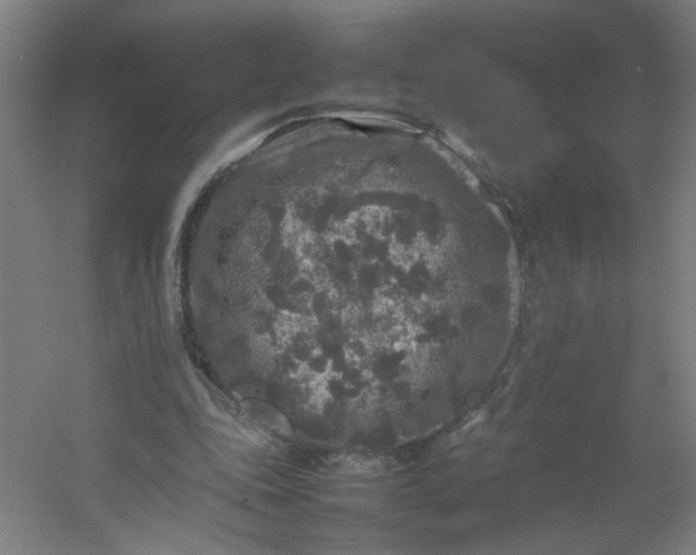 X0000054410343200508121731