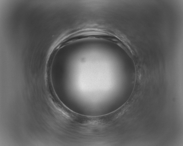 X0000054410344200508121731