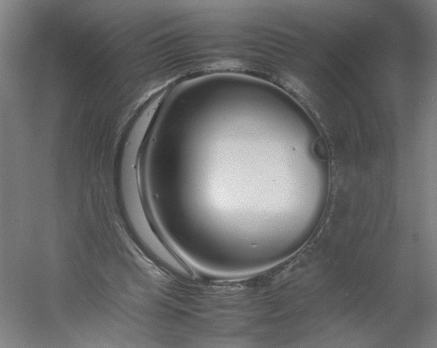 X0000054410345200508121731