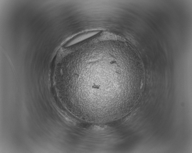 X0000054410346200508121731