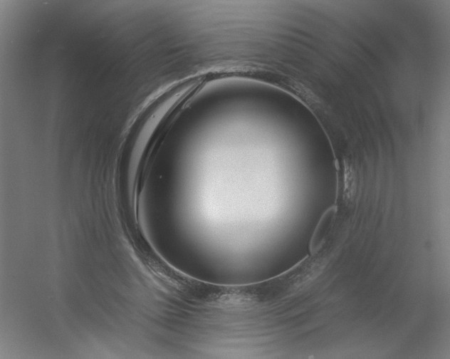 X0000054410348200508121731