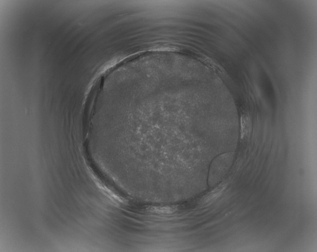 X0000054410349200508121731