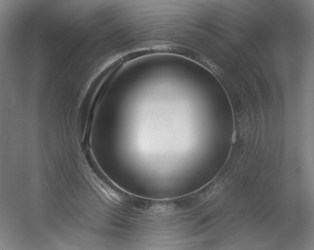 X0000054410350200508121731