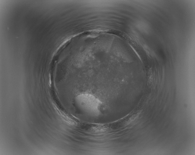 X0000054410351200508121731