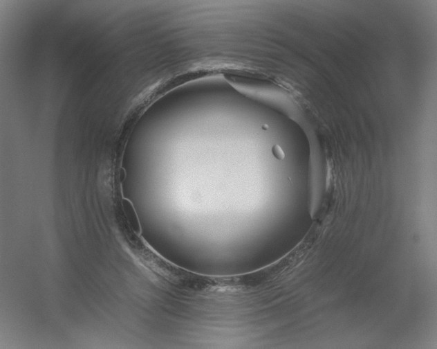 X0000054410352200508121731