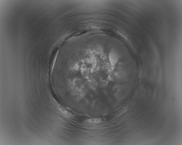 X0000054410353200508121731