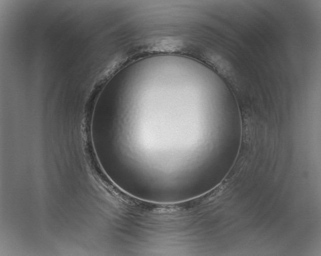 X0000054410354200508121731