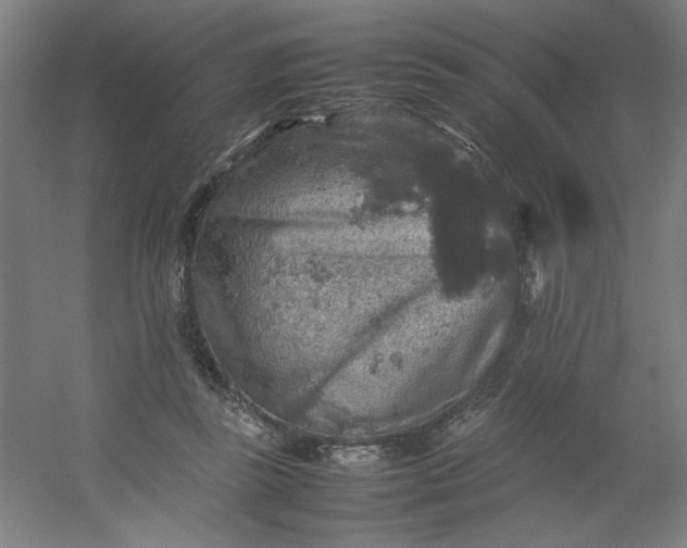 X0000054410355200508121731