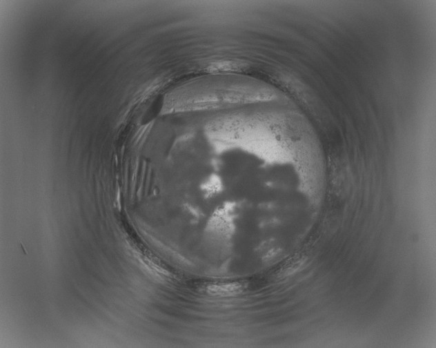 X0000054410357200508121731