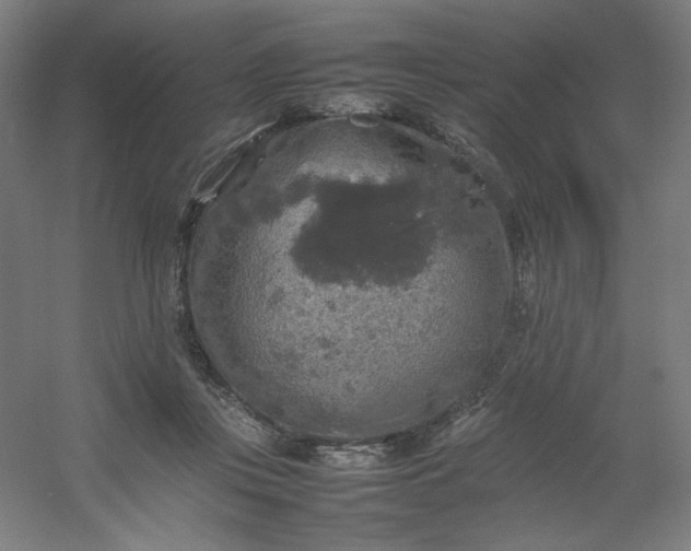 X0000054410359200508121731