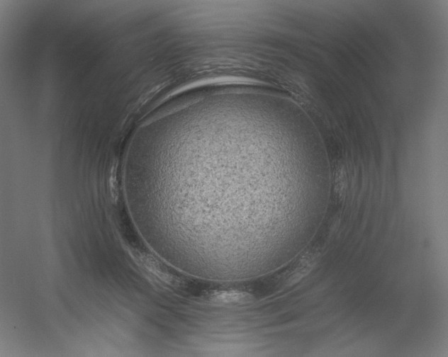 X0000054410360200508121731