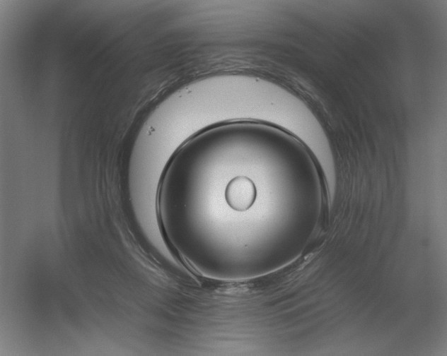 X0000054410362200508121731