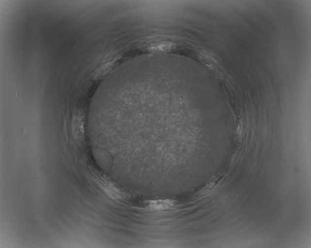 X0000054410363200508121731