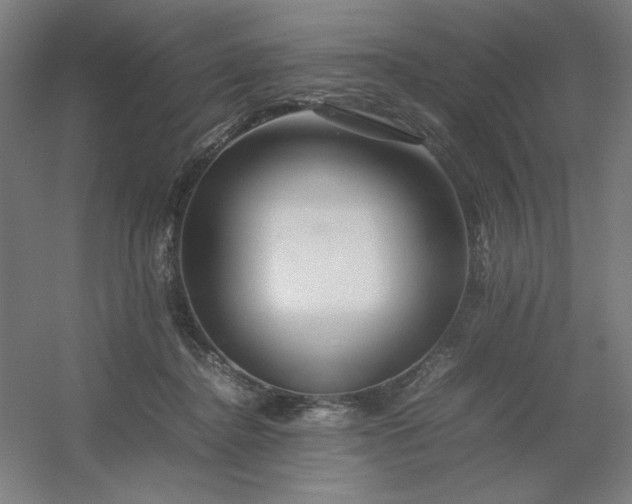 X0000054410364200508121731