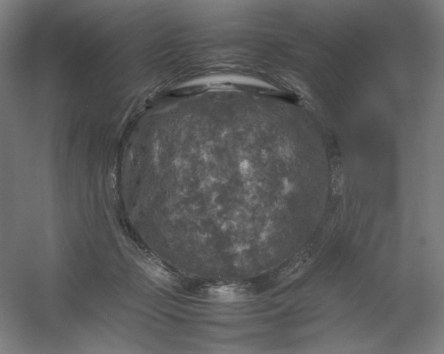 X0000054410365200508121731