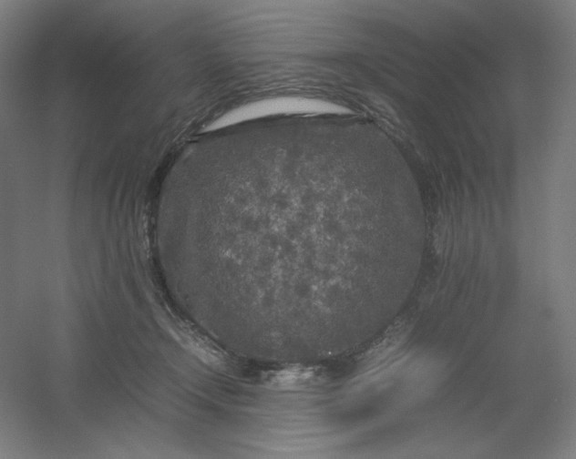 X0000054410366200508121731