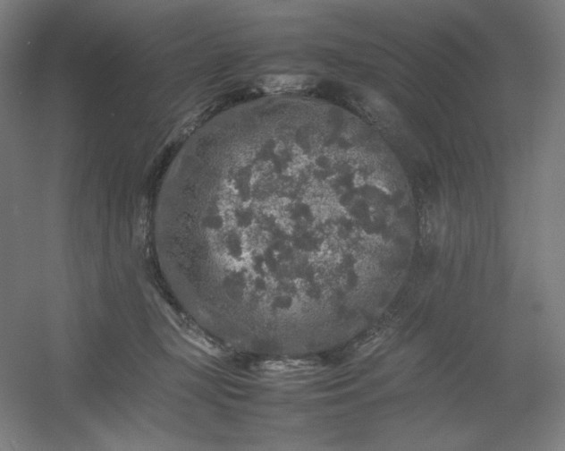 X0000054410367200508121731