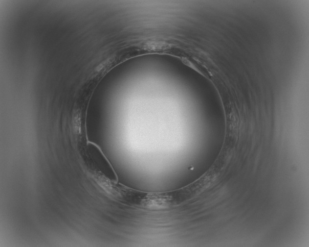 X0000054410368200508121731