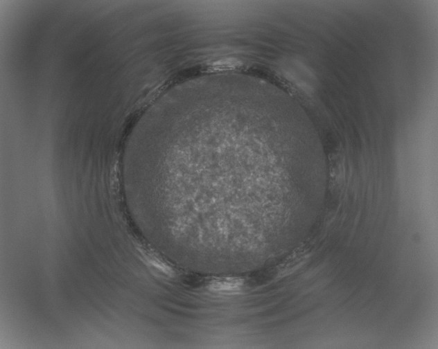 X0000054410369200508121731