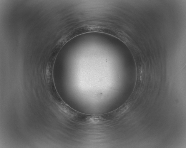 X0000054410372200508121731