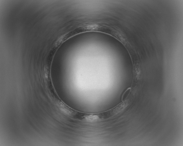 X0000054410374200508121731