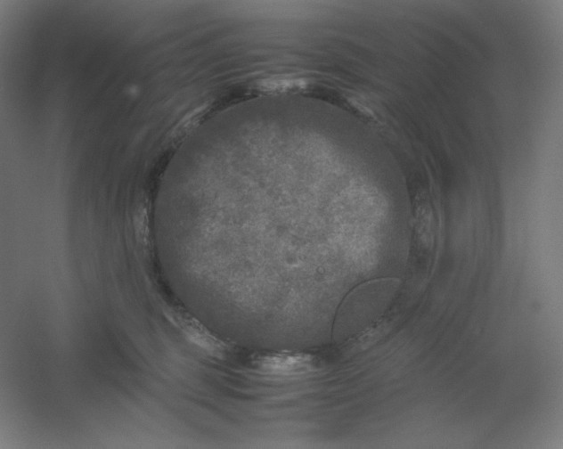 X0000054410375200508121731