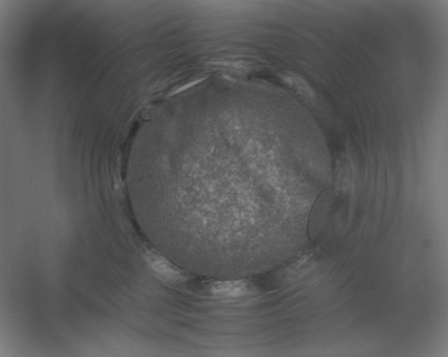 X0000054410377200508121731