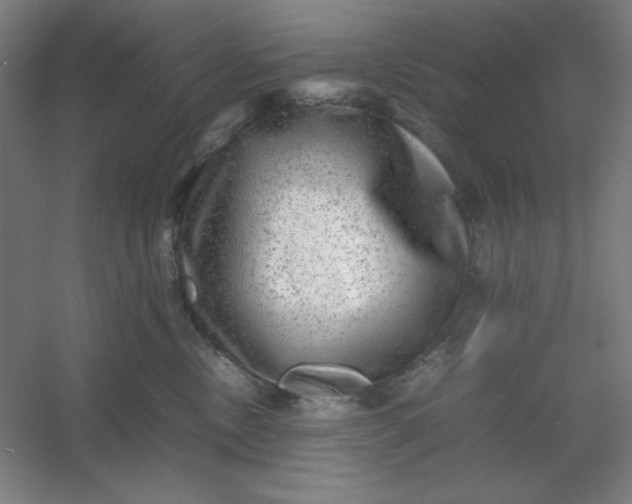 X0000054410378200508121731