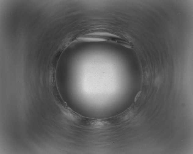 X0000054410379200508121731