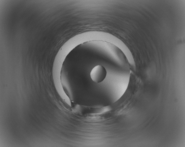 X0000054410380200508121731