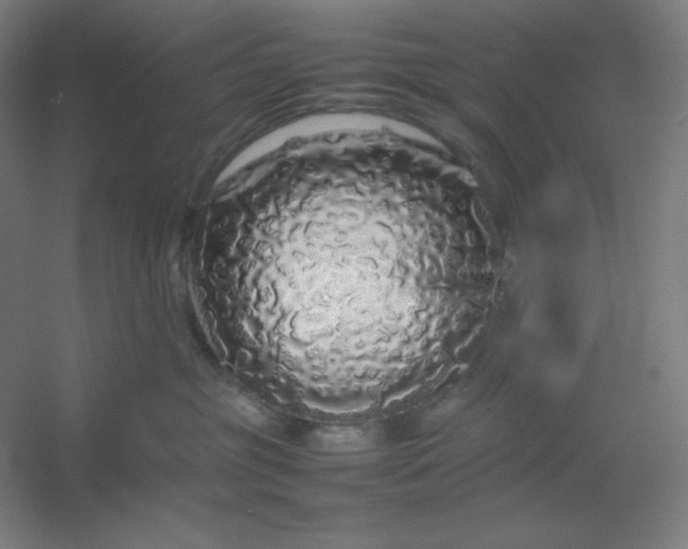 X0000054410381200508121731