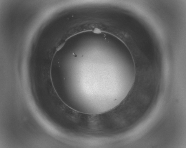 X0000054410382200508121732