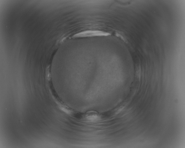 X0000054410383200508121732