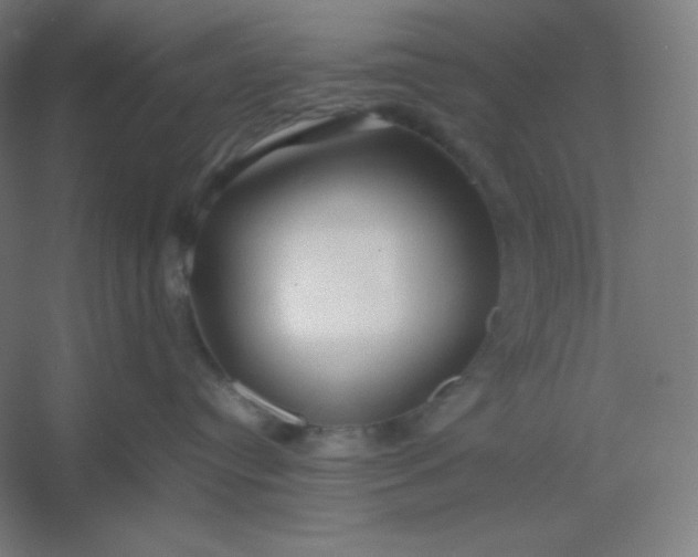 X0000054410384200508121732