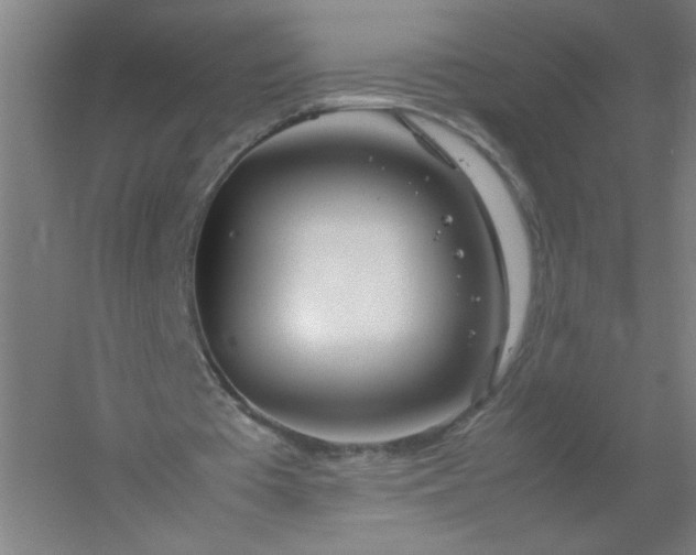 X0000054410385200508121731