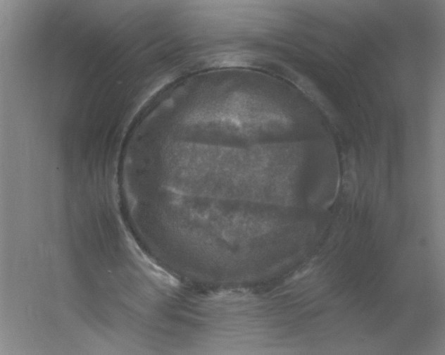 X0000054410386200508121731