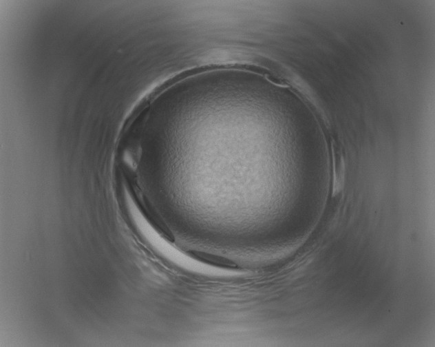 X0000054410387200508121731