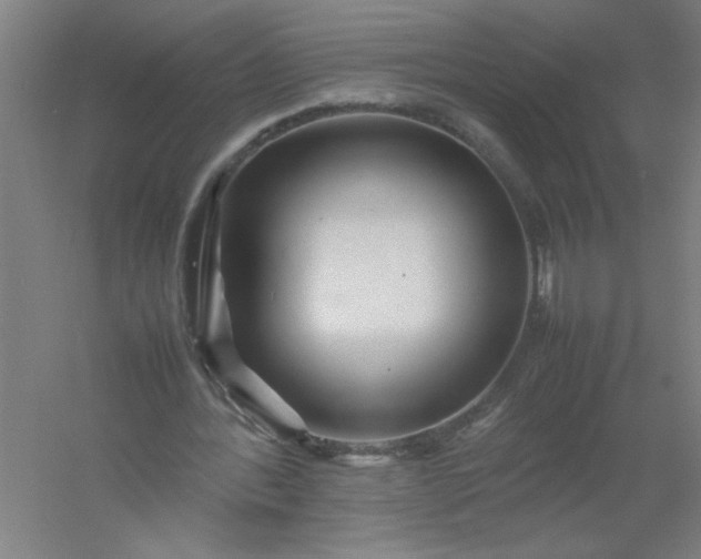 X0000054410388200508121731