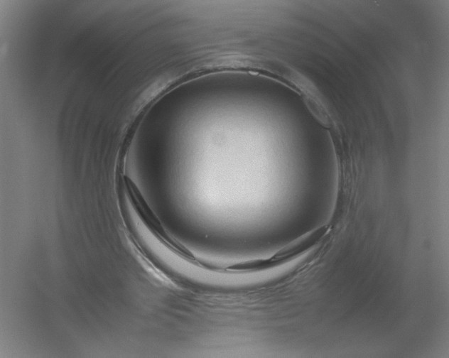 X0000054410389200508121731