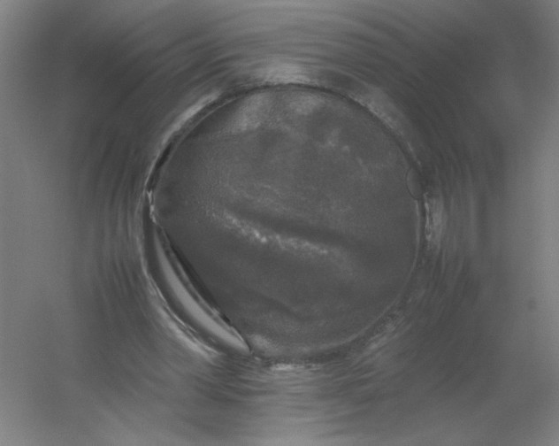 X0000054410390200508121731