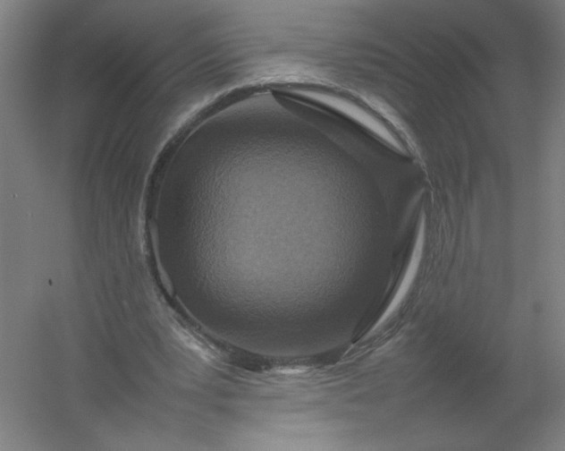 X0000054410391200508121731