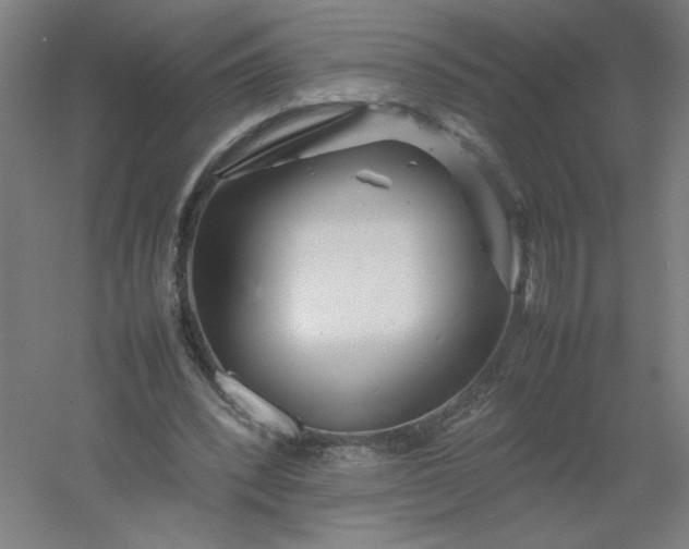 X0000054410392200508121731