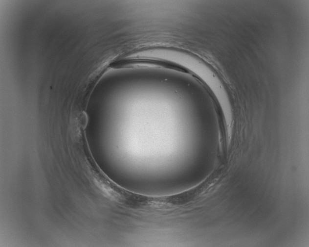 X0000054410393200508121731