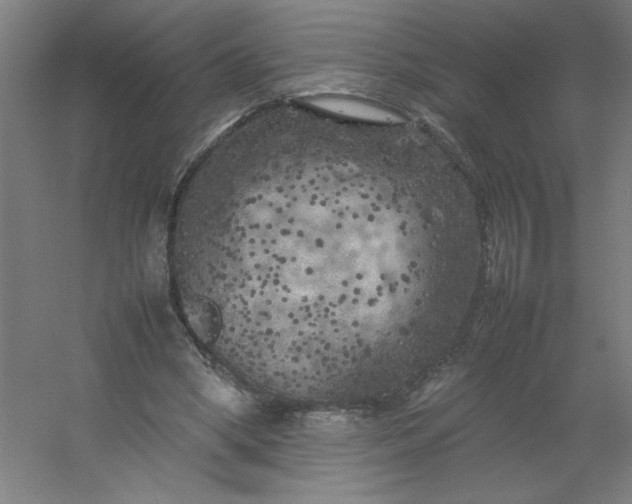 X0000054410394200508121731