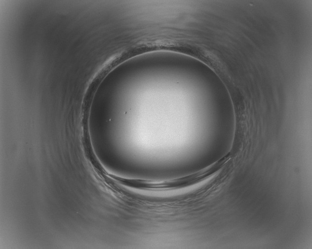 X0000054410395200508121731