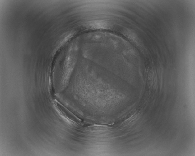 X0000054410398200508121730