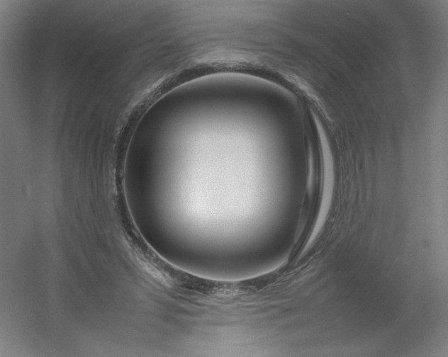 X0000054410399200508121730