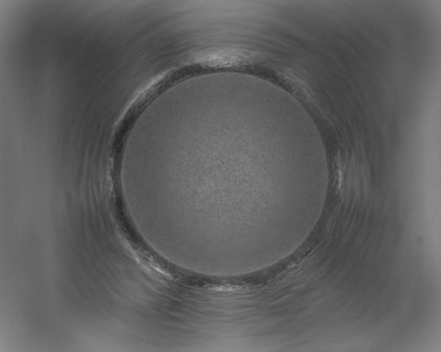 X0000054410400200508121730